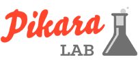 Pikara Magazine Lab